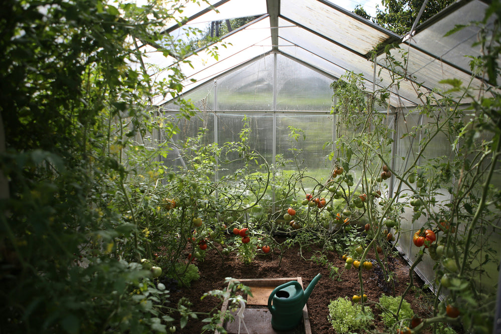 Winter Garden Prep: How to Lay the Groundwork for Spring Glory